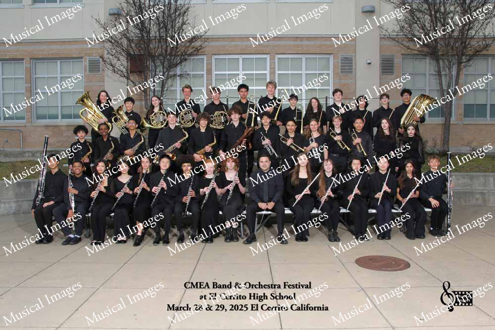 Musical Images